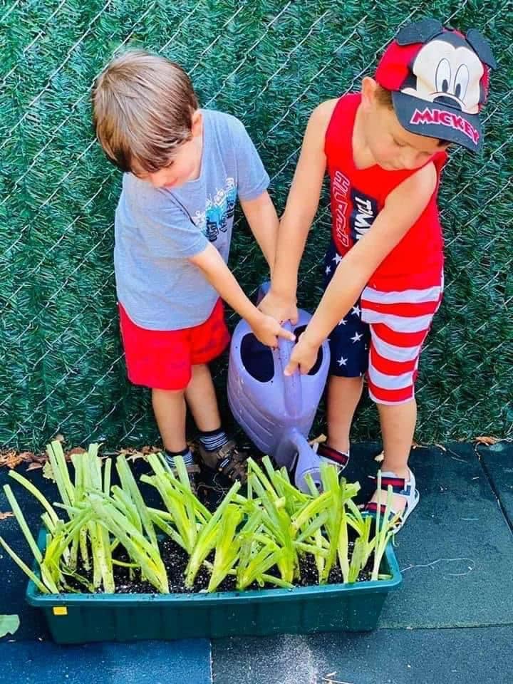 Children watering plants in the garden