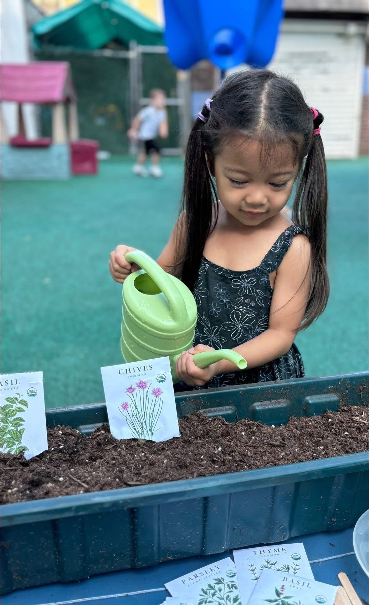 Girl watering an herb garden planter with a green watering can